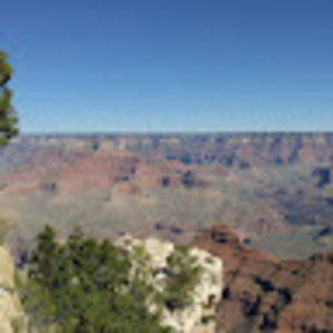 Meet your Posher, Calla a